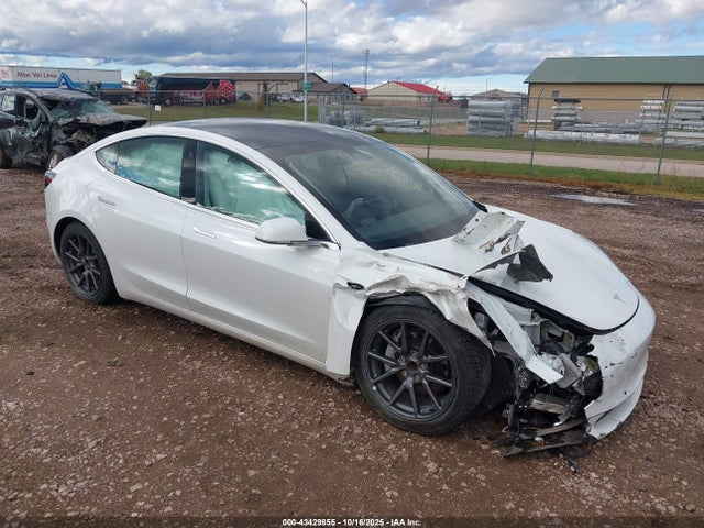 2019 TESLA MODEL 3 5YJ3E1EA5KF464573 Photo 0