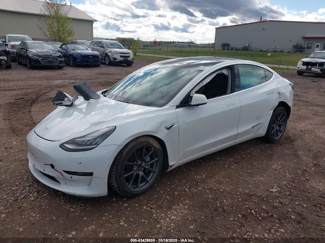 2019 TESLA MODEL 3 5YJ3E1EA5KF464573 Photo 1