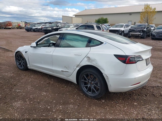 2019 TESLA MODEL 3 5YJ3E1EA5KF464573 Photo 2