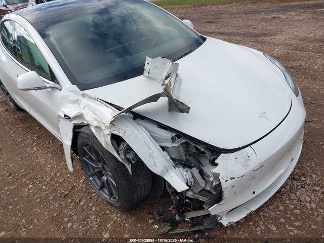 2019 TESLA MODEL 3 5YJ3E1EA5KF464573 Photo 5