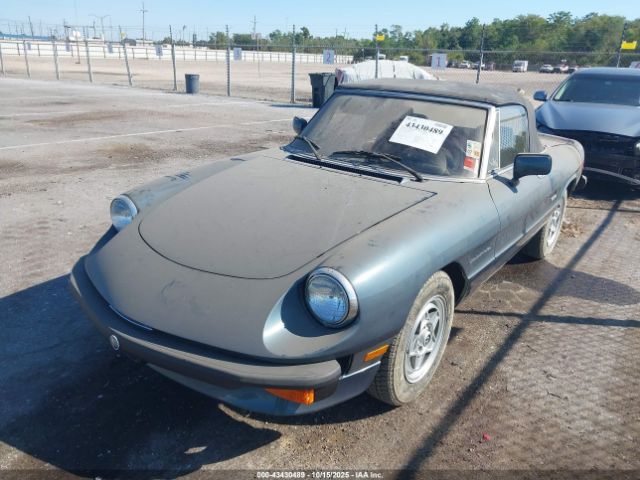 1987 ALFA ROMEO SPIDER ZARBA5586H1048261 Photo 1