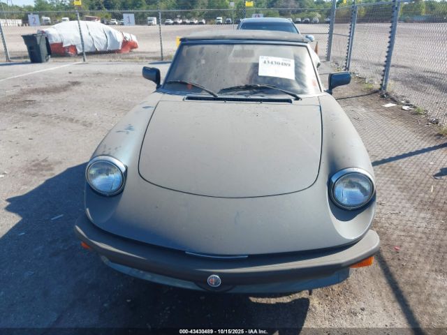 1987 ALFA ROMEO SPIDER ZARBA5586H1048261 Photo 5