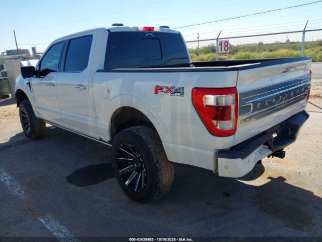 2023 FORD F-150 1FTFW1E86PFA83356 Photo 2
