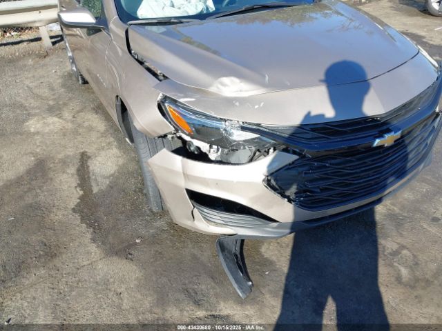 2024 CHEVROLET MALIBU 1G1ZD5ST4RF223466 Photo 5