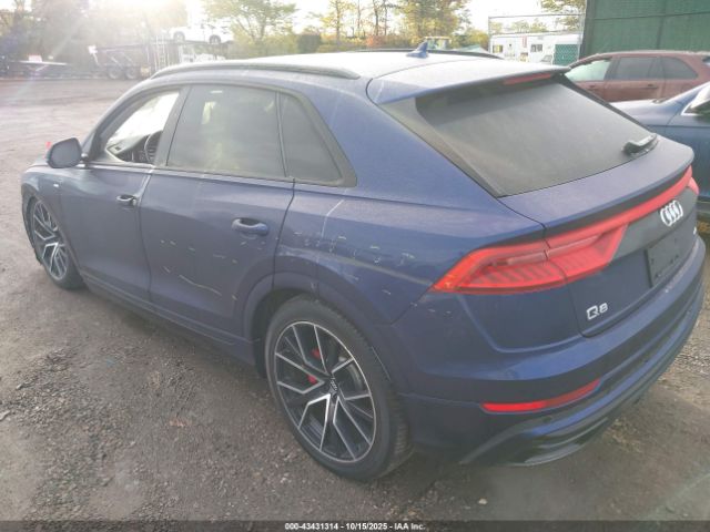 2019 AUDI Q8 WA1EVAF1XKD022526 Photo 2