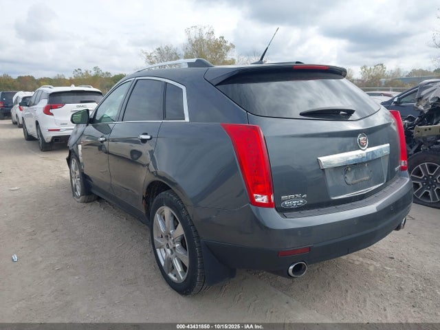 2010 CADILLAC SRX 3GYFNJE47AS573351 Photo 2