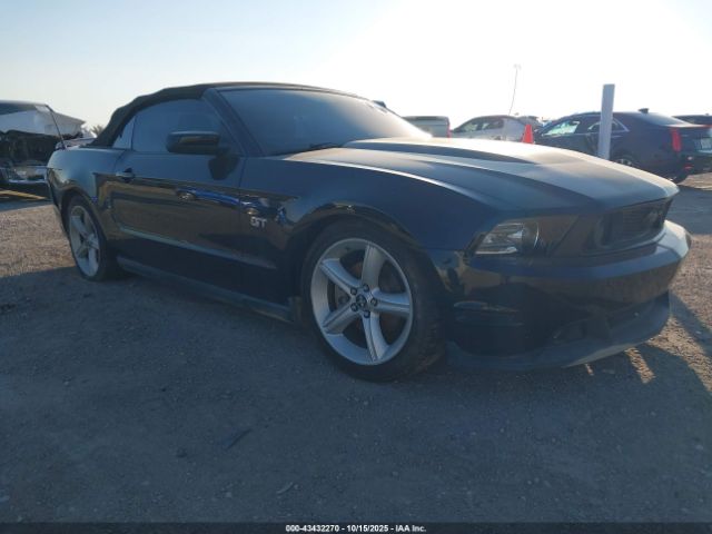 2010 FORD MUSTANG 1ZVBP8FH4A5159587
