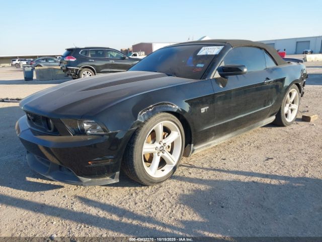 2010 FORD MUSTANG 1ZVBP8FH4A5159587 Photo 1