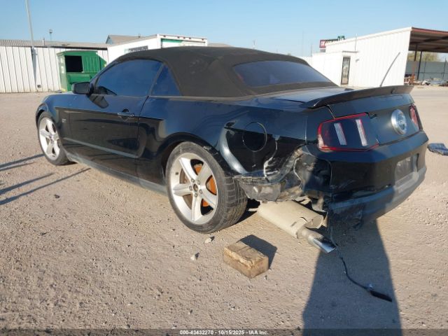 2010 FORD MUSTANG 1ZVBP8FH4A5159587 Photo 2