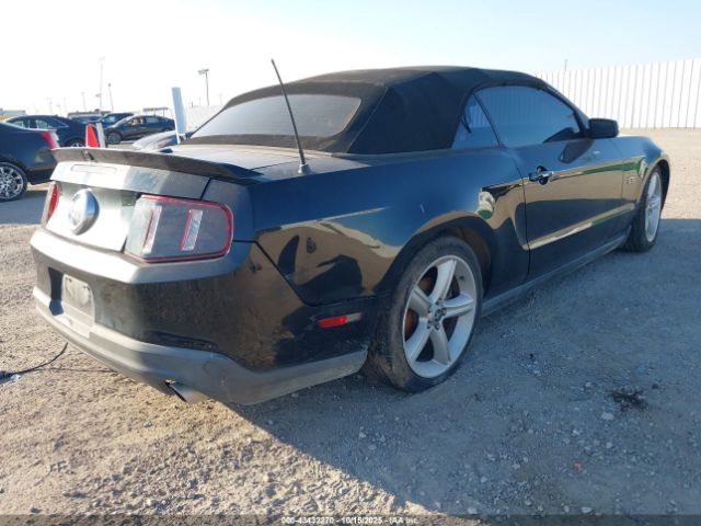 2010 FORD MUSTANG 1ZVBP8FH4A5159587 Photo 3