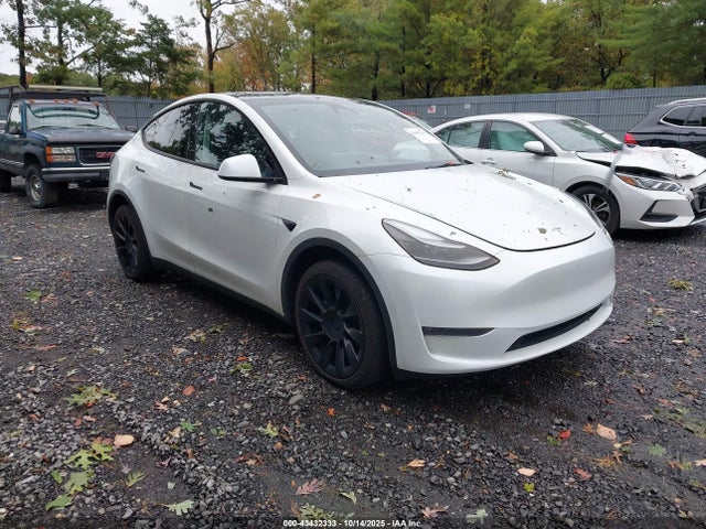 2023 TESLA MODEL Y 7SAYGDEE6PA164777 Photo 0