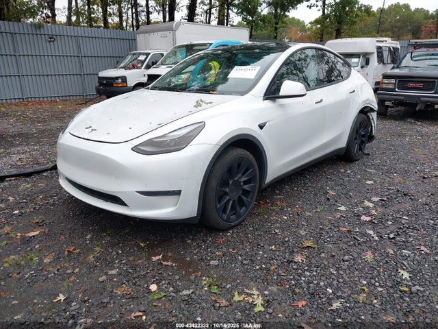 2023 TESLA MODEL Y 7SAYGDEE6PA164777 Photo 1