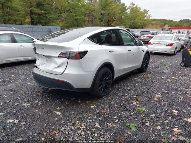 2023 TESLA MODEL Y 7SAYGDEE6PA164777 Photo 3