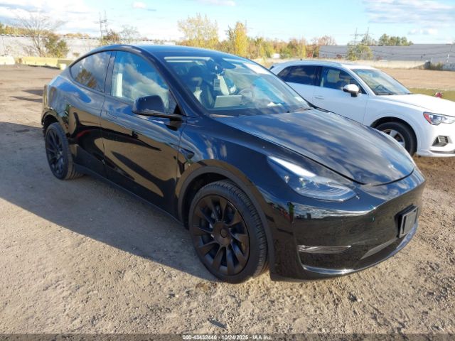 2023 TESLA MODEL Y 7SAYGDEE4PF877521 Photo 0