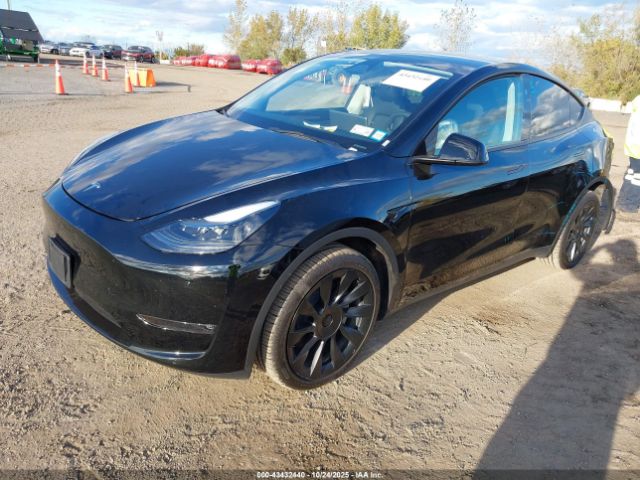 2023 TESLA MODEL Y 7SAYGDEE4PF877521 Photo 1