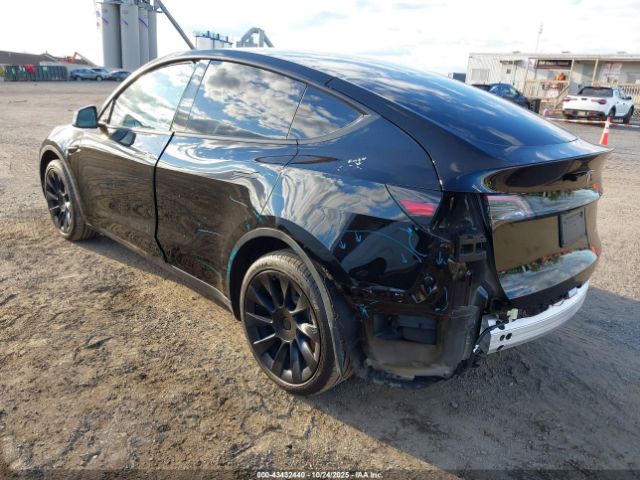 2023 TESLA MODEL Y 7SAYGDEE4PF877521 Photo 2