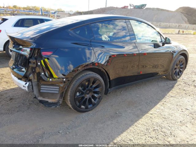 2023 TESLA MODEL Y 7SAYGDEE4PF877521 Photo 3