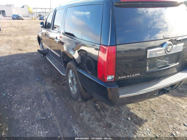 2007 CADILLAC ESCALADE ESV 1GYFK66857R218780 Photo 2