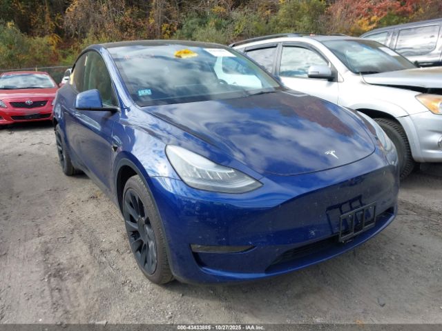 2021 TESLA MODEL Y 5YJYGDEE5MF184739