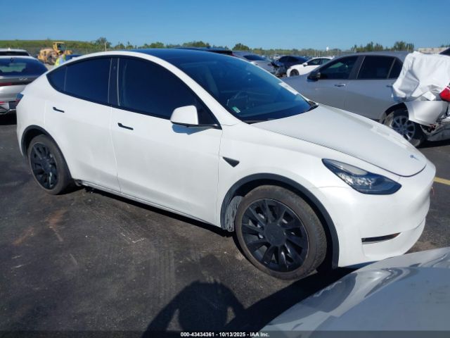 2022 TESLA MODEL Y 7SAYGDEE2NF385647 Photo 0