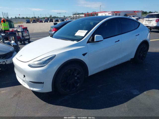 2022 TESLA MODEL Y 7SAYGDEE2NF385647 Photo 1