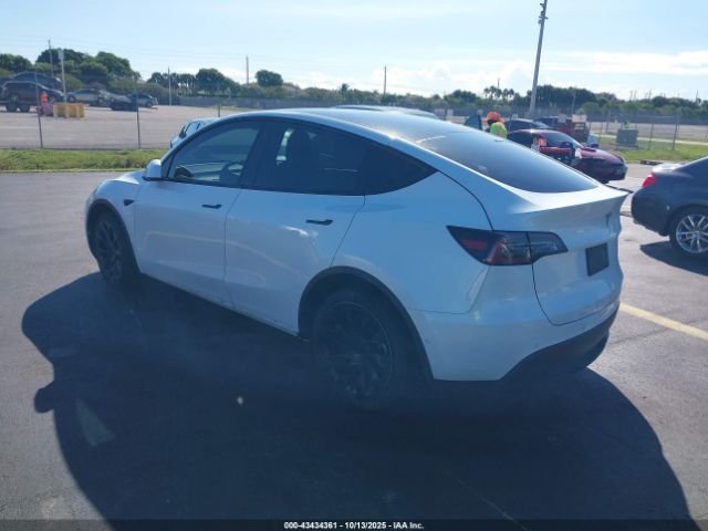 2022 TESLA MODEL Y 7SAYGDEE2NF385647 Photo 2