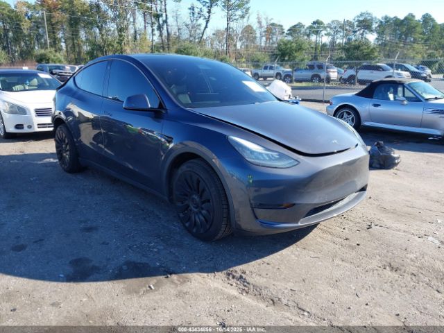 2020 TESLA MODEL Y 5YJYGDEE6LF041751 Photo 0