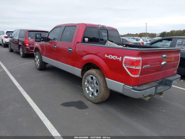 2010 FORD F-150 1FTFW1EV8AKE12935 Photo 2