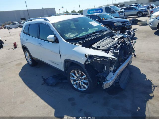 2016 JEEP CHEROKEE 1C4PJLDB8GW165133