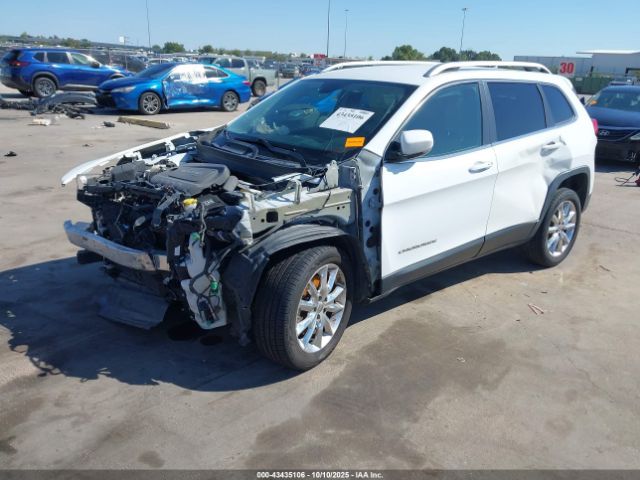 2016 JEEP CHEROKEE 1C4PJLDB8GW165133 Photo 1