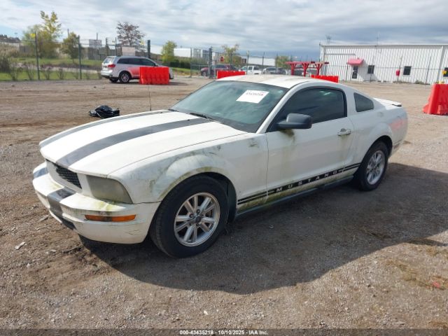 2007 FORD MUSTANG 1ZVFT80N675300129 Photo 1