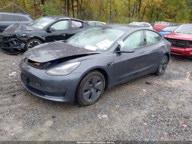 2023 TESLA MODEL 3 5YJ3E1EA7PF677600 Photo 1