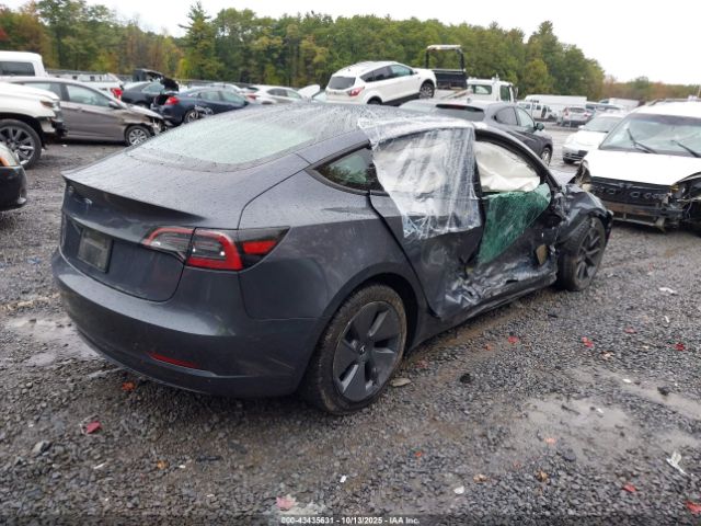 2023 TESLA MODEL 3 5YJ3E1EA7PF677600 Photo 3
