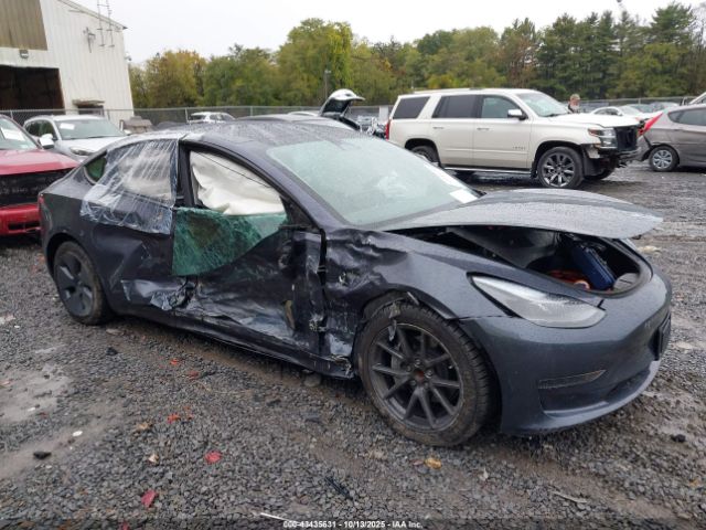 2023 TESLA MODEL 3 5YJ3E1EA7PF677600 Photo 5
