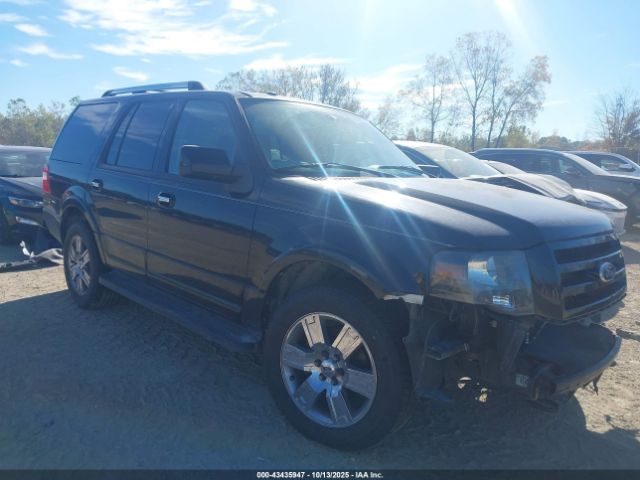 2010 FORD EXPEDITION 1FMJU2A53AEA48199