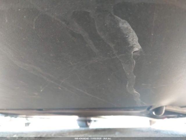 2020 TESLA MODEL 3 5YJ3E1EB7LF600308 Photo 5