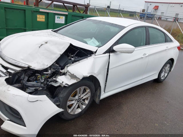 5NPEB4AC1EH889613 Hyundai SONATA GLS