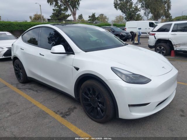 2022 TESLA MODEL Y 7SAYGAEE9NF516703 Photo 0