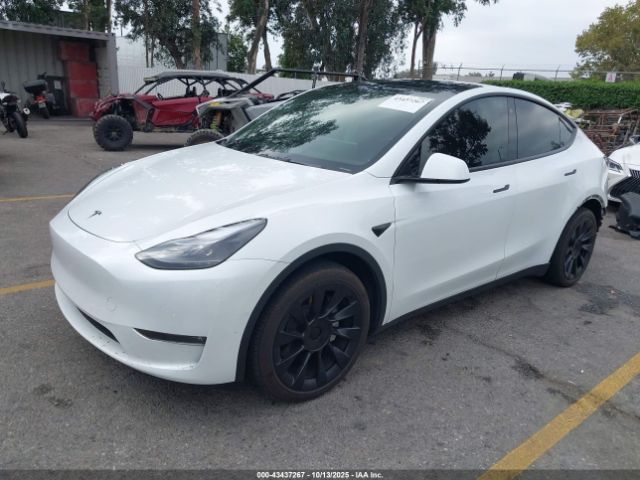 2022 TESLA MODEL Y 7SAYGAEE9NF516703 Photo 1