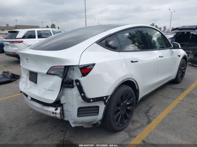 2022 TESLA MODEL Y 7SAYGAEE9NF516703 Photo 3