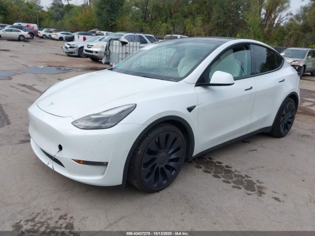 2022 TESLA MODEL Y 7SAYGDEF1NF339915 Photo 1