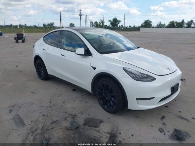 2023 TESLA MODEL Y 7SAYGAEE2PF584456 Photo 0