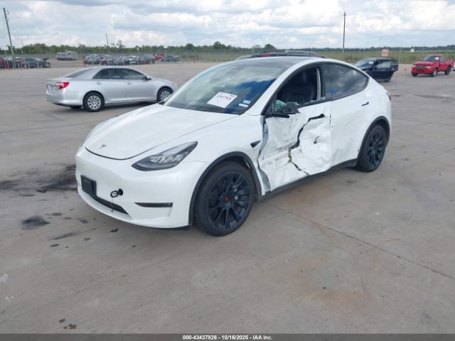 2023 TESLA MODEL Y 7SAYGAEE2PF584456 Photo 1
