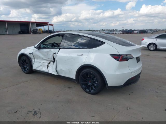 2023 TESLA MODEL Y 7SAYGAEE2PF584456 Photo 2