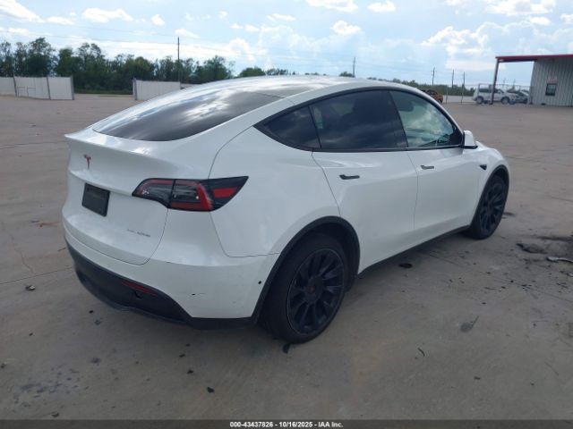 2023 TESLA MODEL Y 7SAYGAEE2PF584456 Photo 3