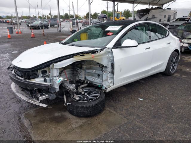 2021 TESLA MODEL 3 5YJ3E1EA3MF982541 Photo 1