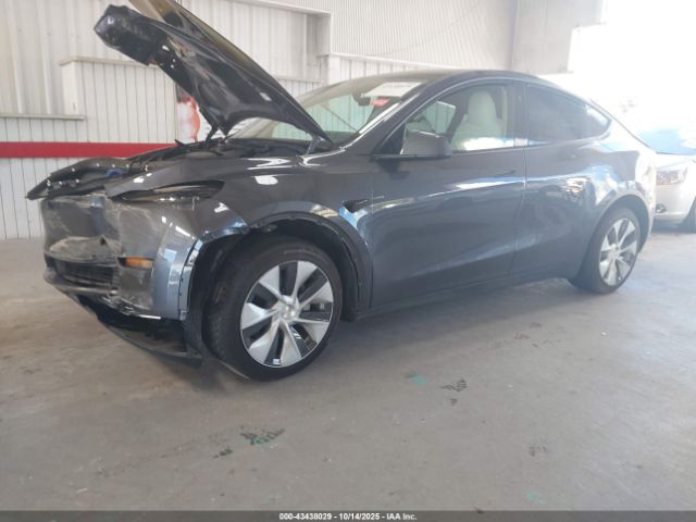 2023 TESLA MODEL Y 7SAYGDEE4PF799452 Photo 1