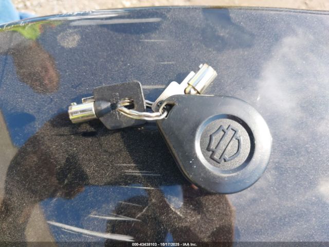 2021 HARLEY-DAVIDSON FLHX 1HD1KBC12MB641500 Photo 10