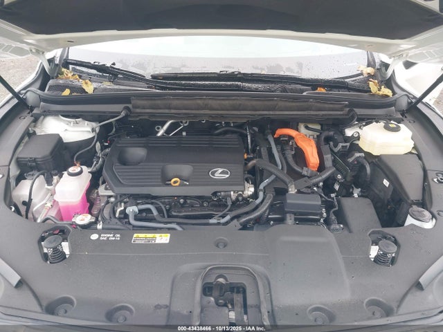 Aukcja sprzedaży 2025 Lexus Rx 350h Premium Plus, vin: 2T2BBMCA3SC067677, numer aukcji: 43438466