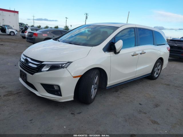 2019 HONDA ODYSSEY 5FNRL6H74KB101579 Photo 1